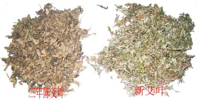 點(diǎn)擊將在新窗口查看全圖 艾灸療法,艾草泡腳,艾草艾葉